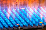 Tre Taliesin gas fired boilers
